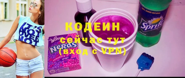 мдпв Щигры