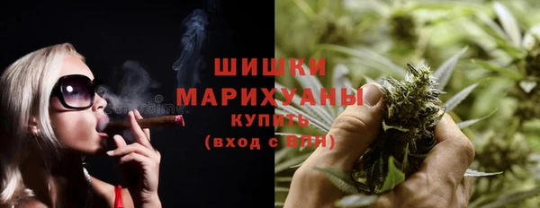 мдпв Щигры