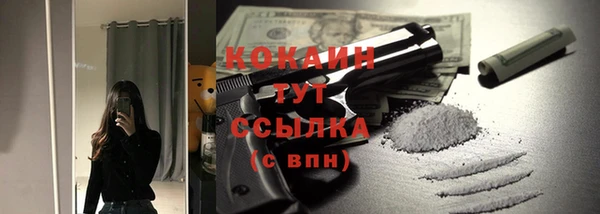 мет Щучье