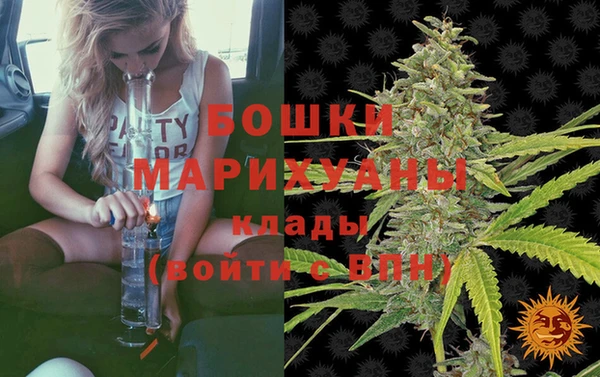 мдпв Щигры