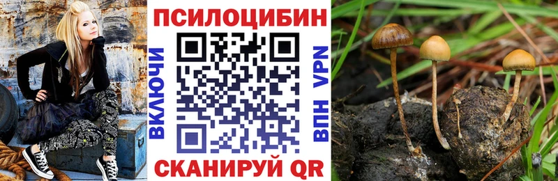 Купить закладки  Домодедово  Галлюциногенные грибы ЛСД 