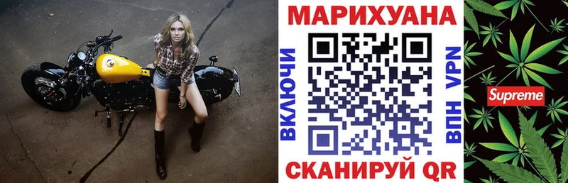 Канабис OG Kush  Купить  Домодедово 